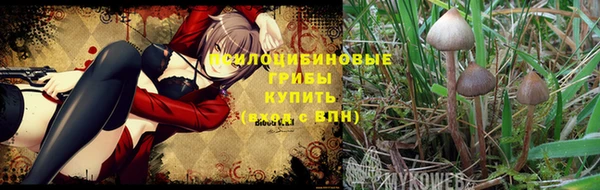 спиды Аркадак