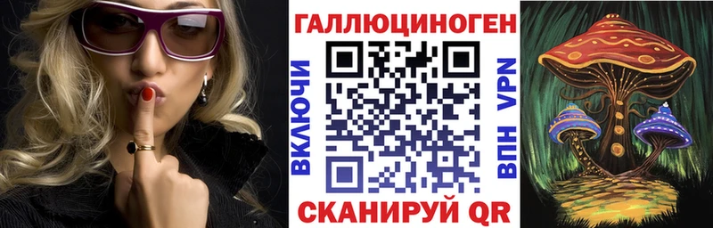 Галлюциногенные грибы Psilocybine cubensis Зима