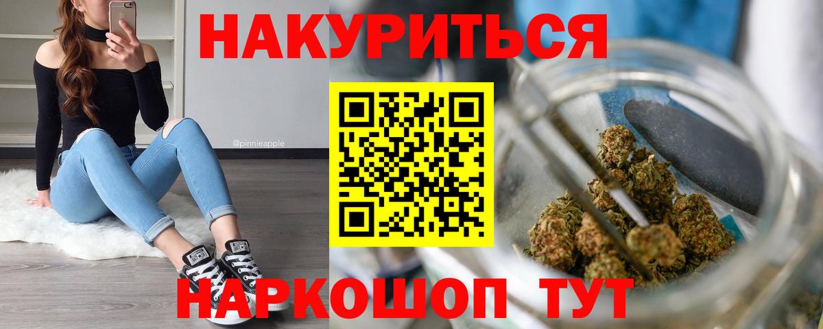 Конопля планчик Зима